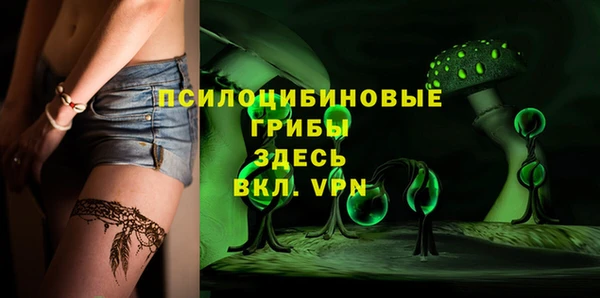 mdma Няндома