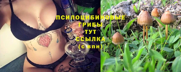 мет Нязепетровск