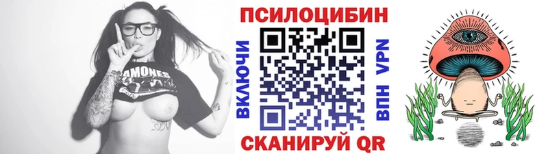 Галлюциногенные грибы MAGIC MUSHROOMS  дарнет шоп  Кяхта 