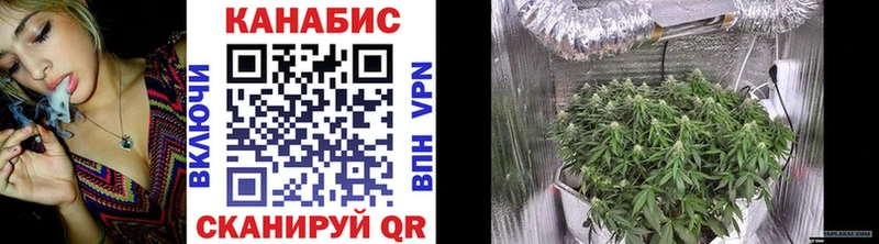 Бошки Шишки Bruce Banner Кяхта